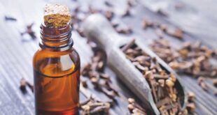 cloves essential oil