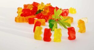 CBD Gummies