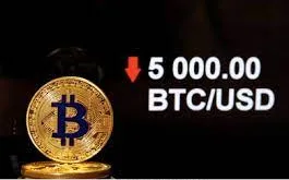 5000 bitcoins to usd