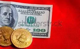 https://www.google.com/search?q=100+bitcoins+in+usd&sxsrf=ALiCzsaZPgpZW8O6UwEMQ-68LRPqgS3vtg:1669429635604&source=lnms&tbm=isch&sa=X&ved=2ahUKEwjgiKGD5sr7AhVn_7sIHSTgAWMQ_AUoA3oECAMQBQ&biw=1517&bih=631&dpr=0.9