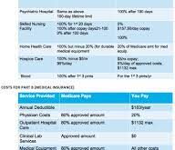 quizlet when did the government become the largest payer for healthcare services