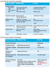 quizlet when did the government become the largest payer for healthcare services