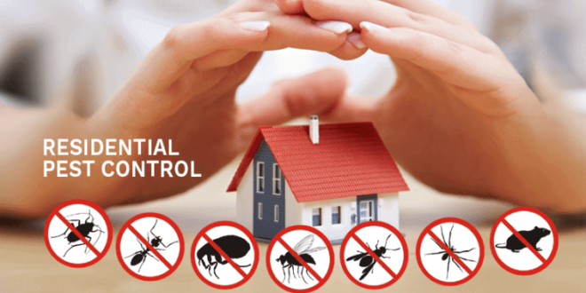 Keeping Your Home Safe From Pests