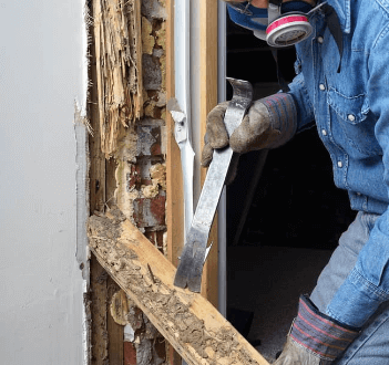 Termites Are Notorious For Causing Damage To Furniture