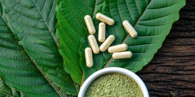 5 Quality Measures That An Authentic Kratom Vendor Should Offer