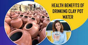 wellhealthorganic.com:some-amazing-health-benefits-of-drinking-water-from-an-earthen-pot