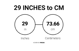 What to look for in 29 inches to cm