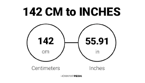 142 cm to inch