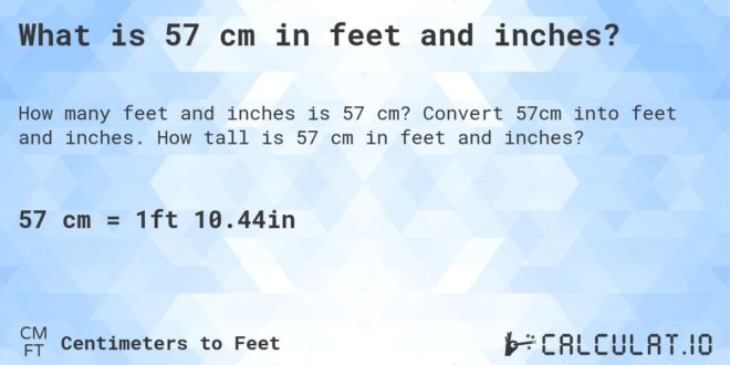 how tall is 57 cm