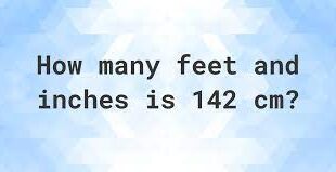 142 inches to feet