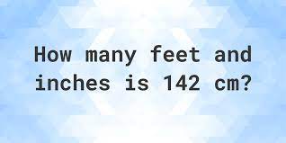 142 inches to feet