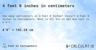 4 8in cm
